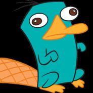 Perrytheplatypus