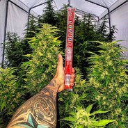 ENES BABA DÖNDÜRCEK