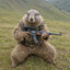 Ghillie Marmot