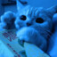 Mariusz
