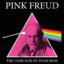 Pink Freud