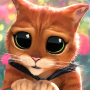 Sumeow
