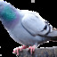les