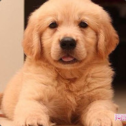 鱼塘欢乐四年多