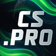 la pulgaCS2-CASES.COM