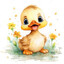 duCK