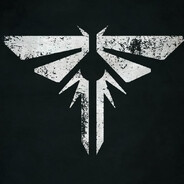 Firefly n°248 - steam id 76561197961288495