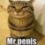 Mr.Penis (Big)