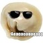PELEMESHKA