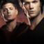 Winchesters