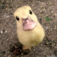 我MMY腚眼子求艹