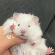 国服韩信（已出名刀司命），请战！