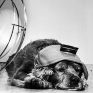 Ice guzzler(formality known)