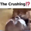 The Crushing!?