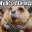KuRwA BoBeR