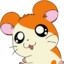 Hamtaro