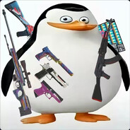 马达加斯加.沉默