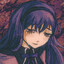 Lycoris