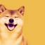 Shiba Inu