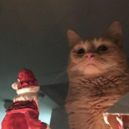 killer pink flamingo