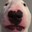 Sharpx2 (YT)'s Avatar