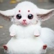 老板拿瓶冰阔落