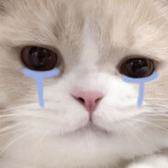 因为避税太多被大调查