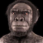 homo habilis...