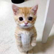 我说过会永远爱你