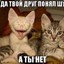 prostaks