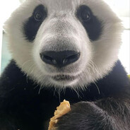 ℝ𝕖𝕚𝕩𝔽𝔽