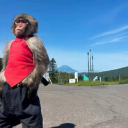 егр мейстер