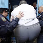 Fat Tony From Sizzle E