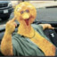 Cock