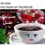 Arabic Facebook Mom