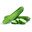 Cucumber