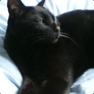 黒雪猫