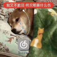 土狗终有一死