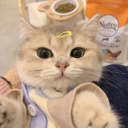 原学妹碰到潮学长会比流水