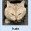 hatepeople