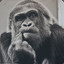 ApeKing