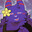 Enot Slug