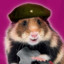 Cpt Hamster