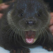 OTTerTheOTTErTheOTter