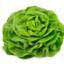 Salade