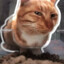 Mr. Frish