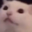 lilcroissant