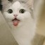 OIILY