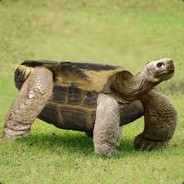 Tyuktres