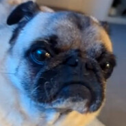 hugo's avatar